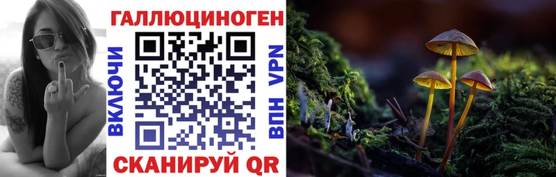 Псилоцибиновые грибы Magic Shrooms  kraken ТОР  Дзержинск  магазин  наркотиков 